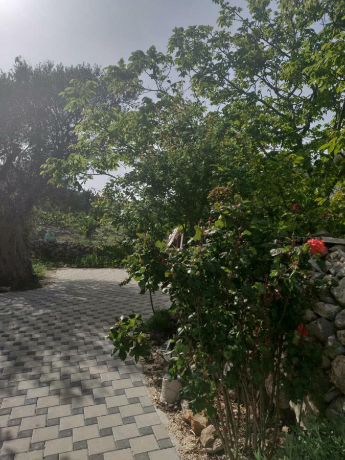 Guest House Maslina Vinisce Luaran gambar